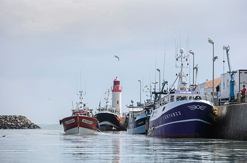 La Cotinière, bateaux de pêche : © Sébastien LAVAL