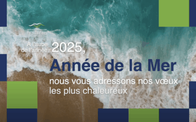 Les voeux de l’ANPMT pour 2025