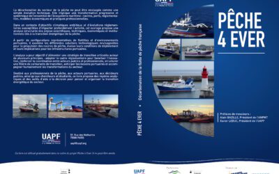 Rapport P4Ever 2026 : Découvrez les résultats et téléchargez le document complet